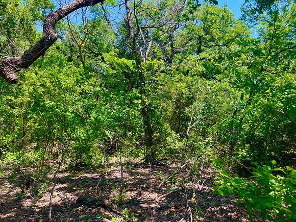 2 Acres of Residential Land for Sale in Poolville, Texas