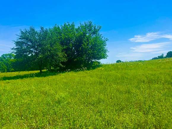 2.271 Acres of Residential Land for Sale in Poolville, Texas