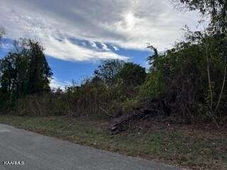 0.16 Acres of Land for Sale in Lenoir City, Tennessee