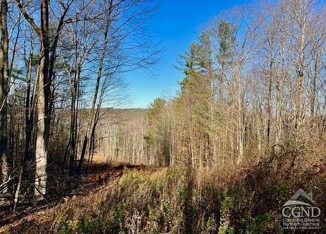 21.6 Acres of Land for Sale in New Lebanon, New York