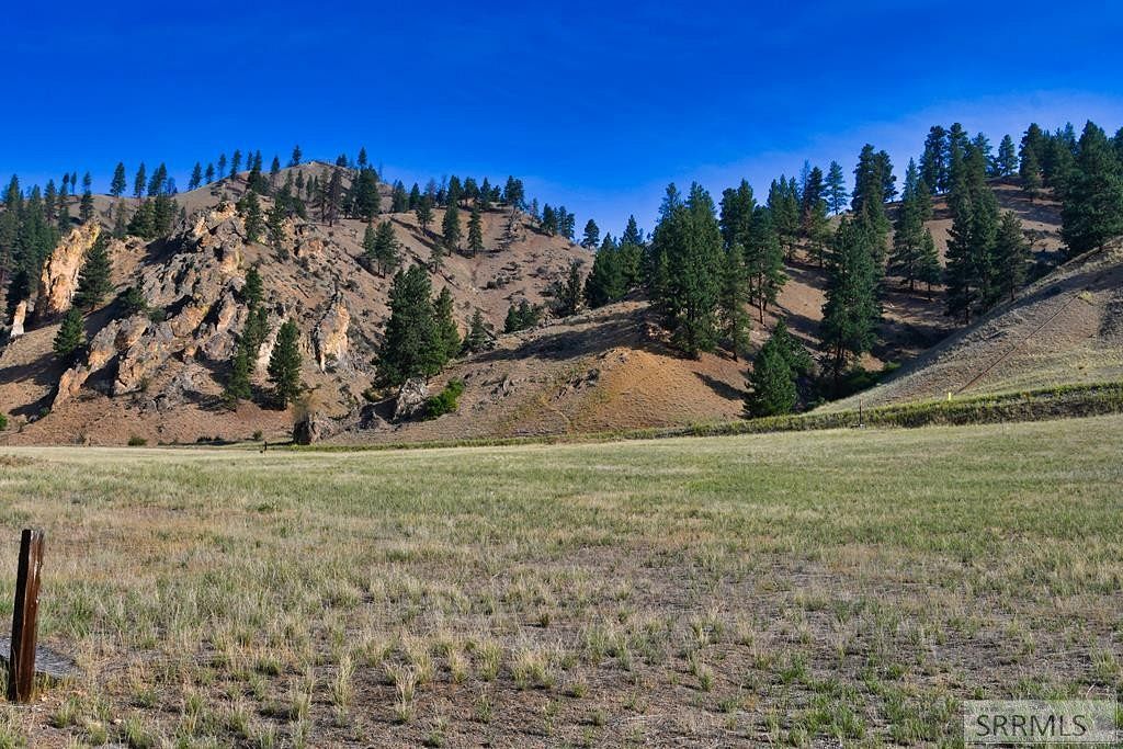 2.9 Acres of Residential Land for Sale in North Fork, Idaho