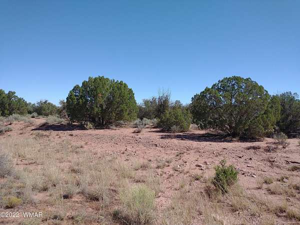 1.13 Acres of Land for Sale in Snowflake, Arizona