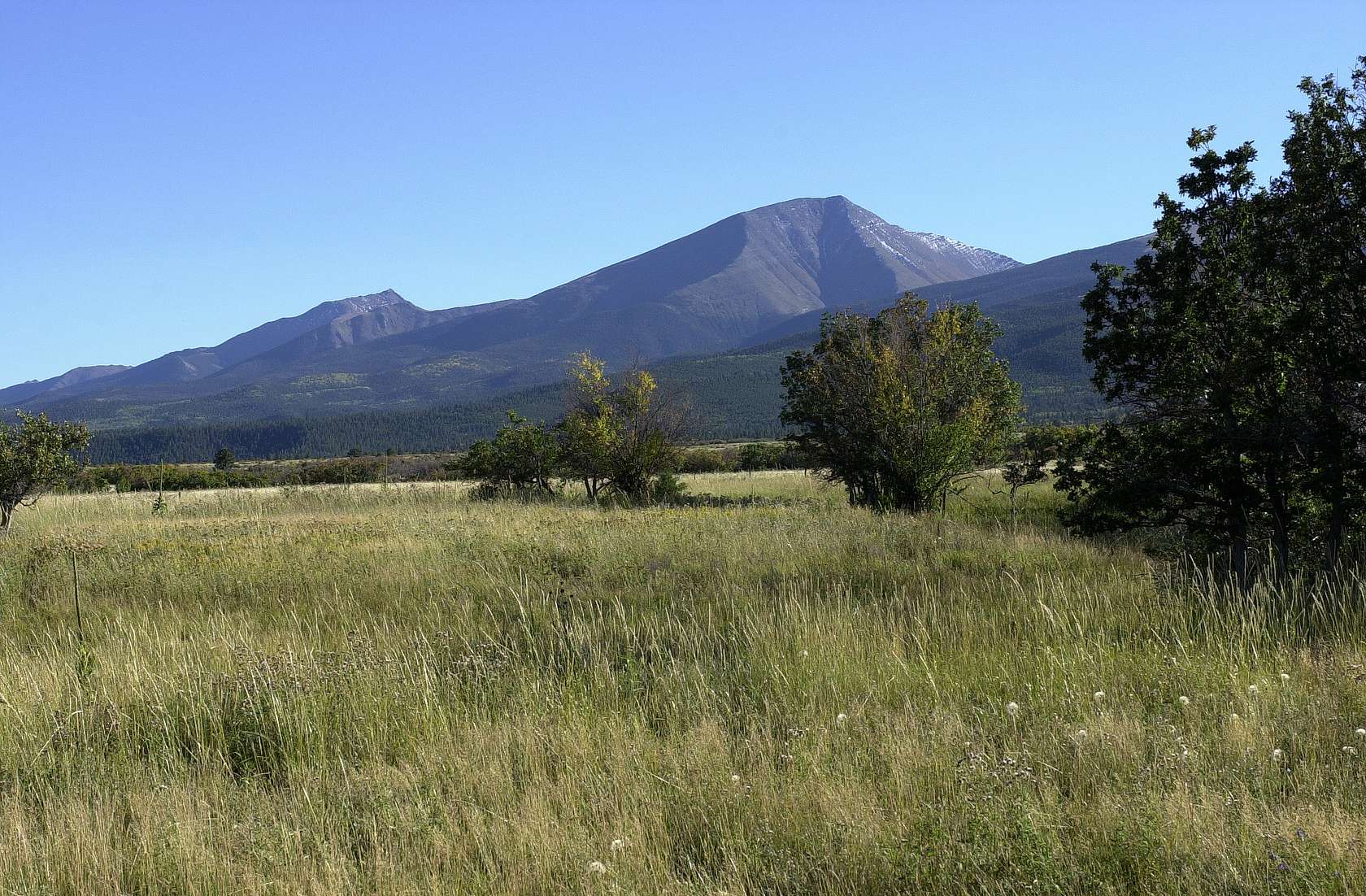 101.42 Acres of Land for Sale in Cotopaxi, Colorado