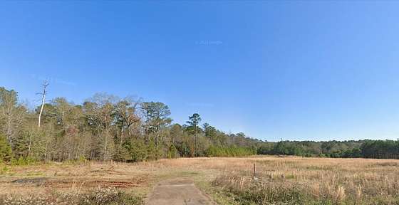 40.2 Acres of Commercial Land for Sale in Americus, Georgia