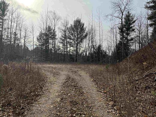 1 Acre of Residential Land for Sale in Lakewood, Wisconsin