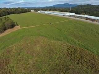 10 Acres of Land for Sale in Chatsworth, Georgia