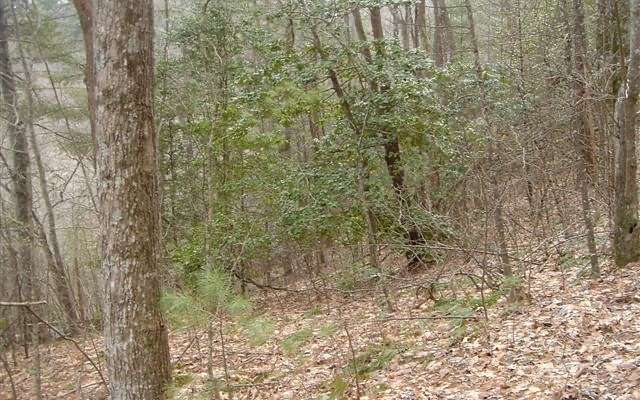 3 Acres of Residential Land for Sale in Blairsville, Georgia