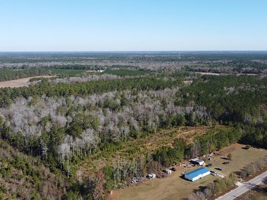29 Acres of Recreational Land for Sale in Lumberton, North Carolina