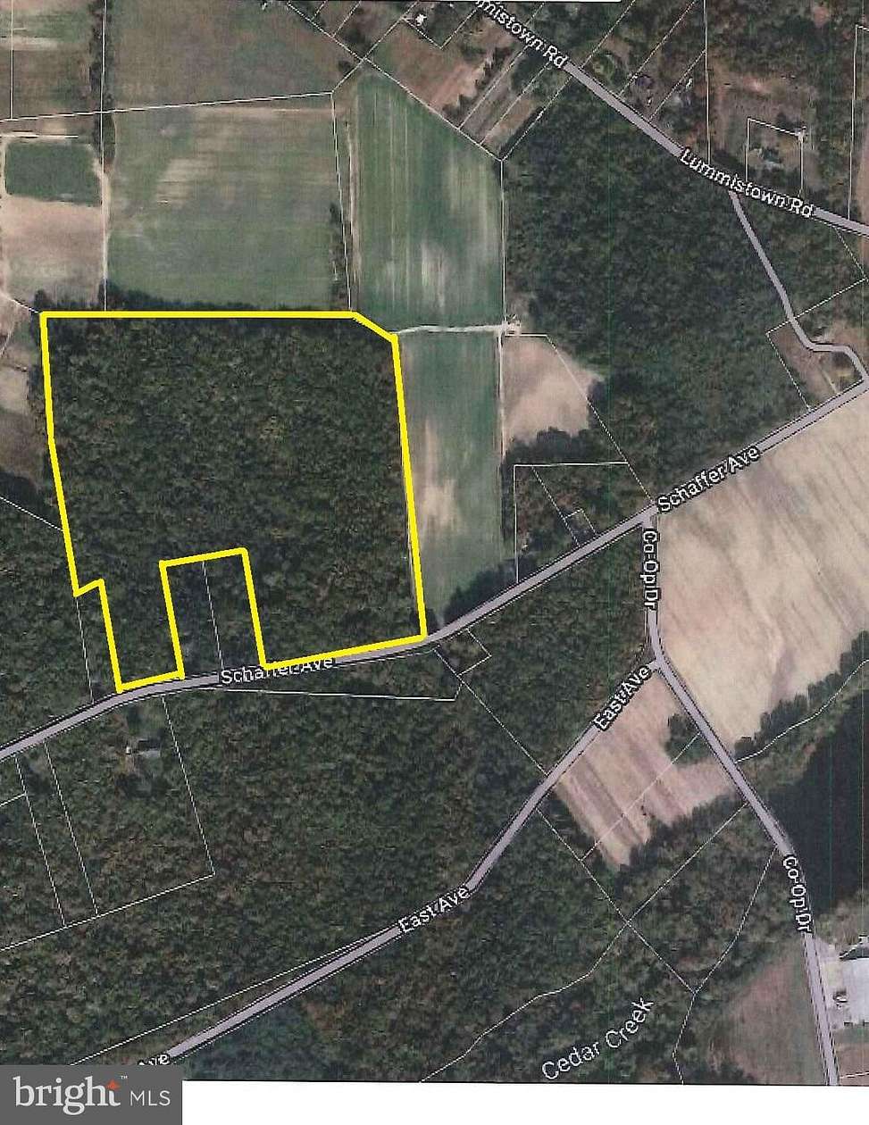 35.4 Acres of Recreational Land for Sale in Cedarville, New Jersey