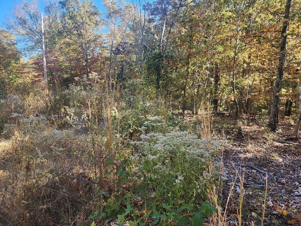 0.31 Acres of Residential Land for Sale in Bella Vista, Arkansas