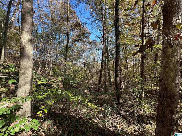 2.18 Acres of Land for Sale in Northport, Alabama - LandSearch