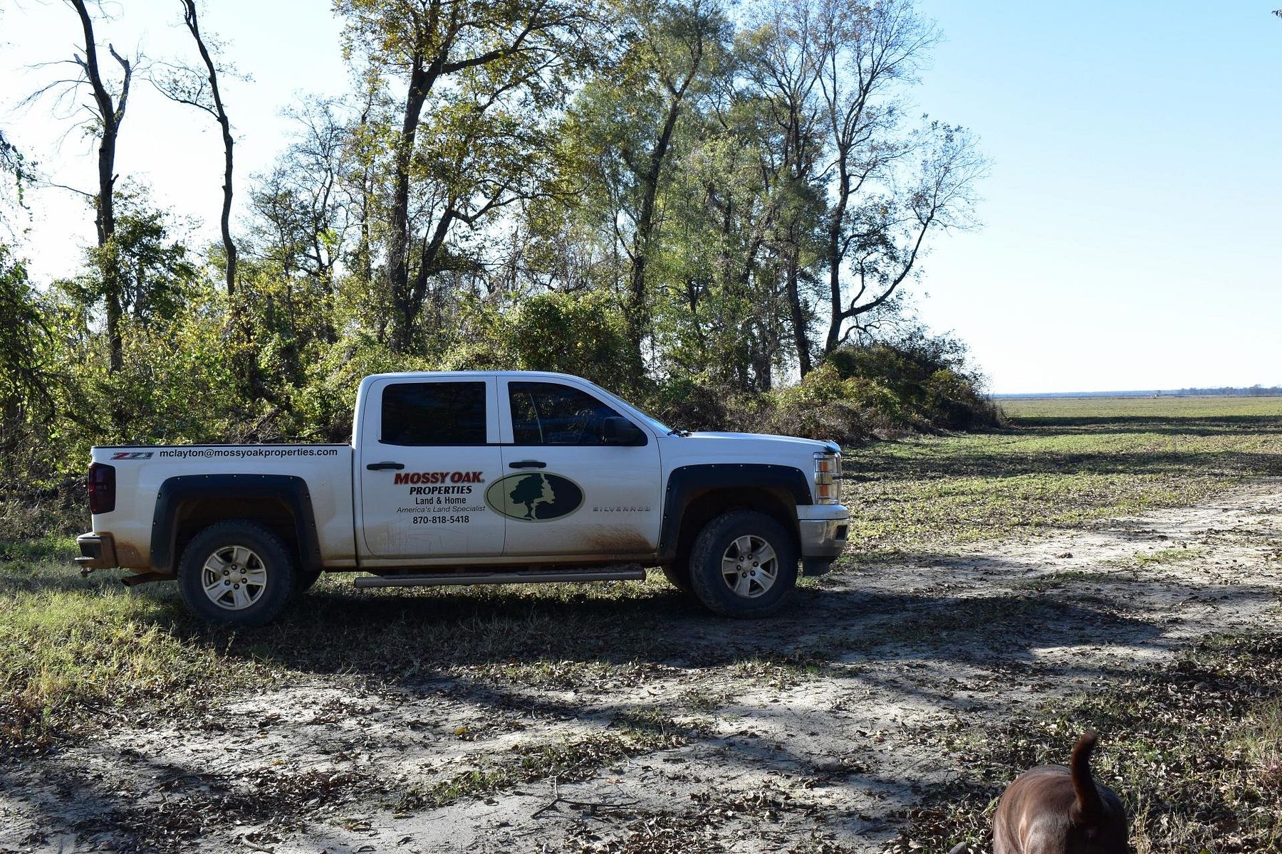 14.5 Acres of Recreational Land & Farm for Sale in Crumrod, Arkansas