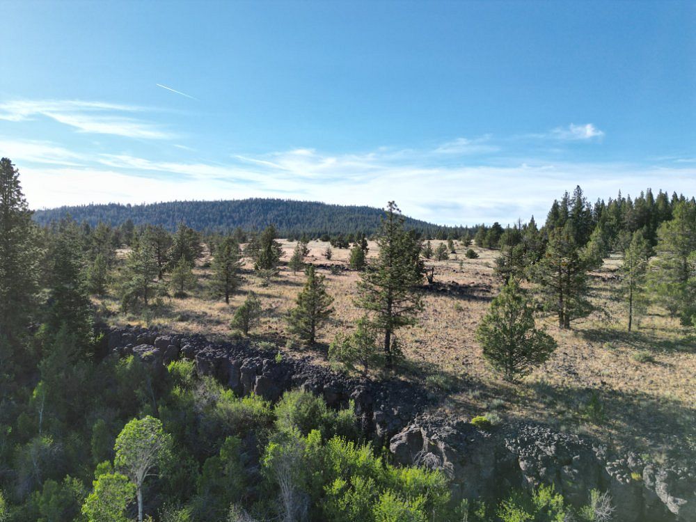 7.54 Acres of Residential Land for Sale in Bonanza, Oregon