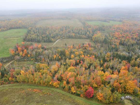 158 Acres of Agricultural Land for Sale in New Canada Town, Maine