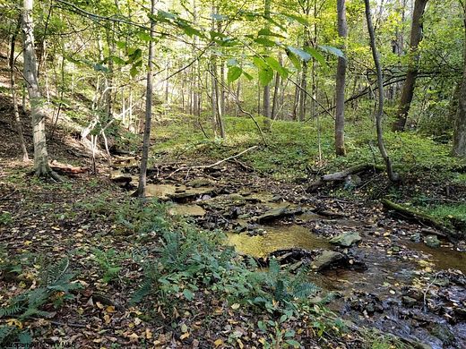 14 Acres of Land for Sale in Lake Lynn, Pennsylvania