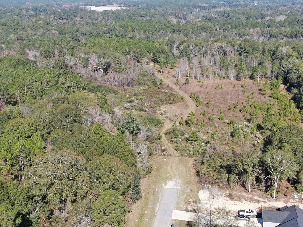 158 Acres of Land for Sale in Douglas, Georgia