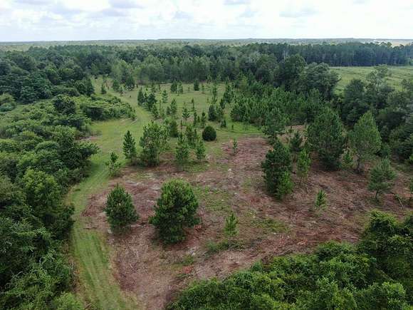 110 Acres of Land for Sale in Douglas, Georgia