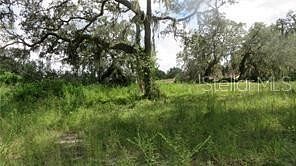 0.53 Acres of Residential Land for Sale in Dade City, Florida