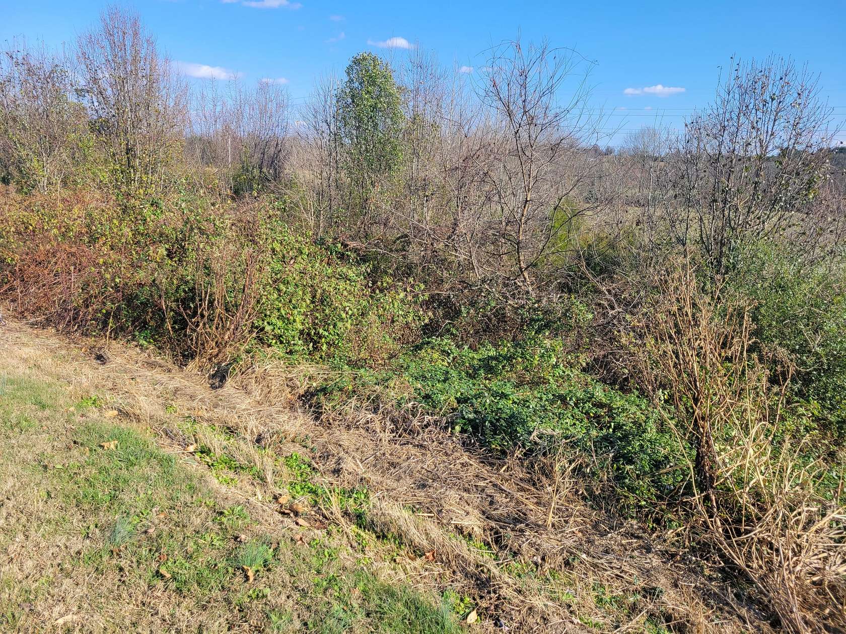 0.92 Acres of Mixed-Use Land for Sale in Bulls Gap, Tennessee