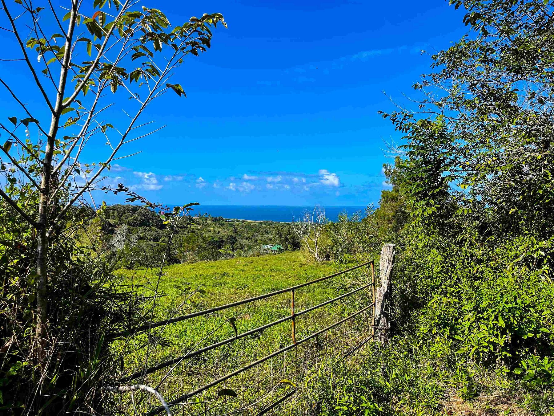 6.2 Acres of Land for Sale in Haʻikū, Hawaii