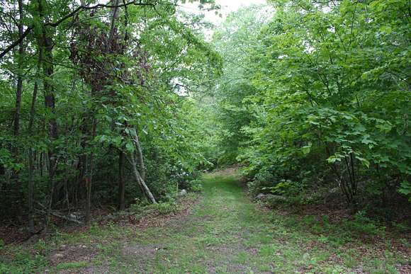 43.44 Acres of Recreational Land & Farm for Sale in Monterey, Virginia