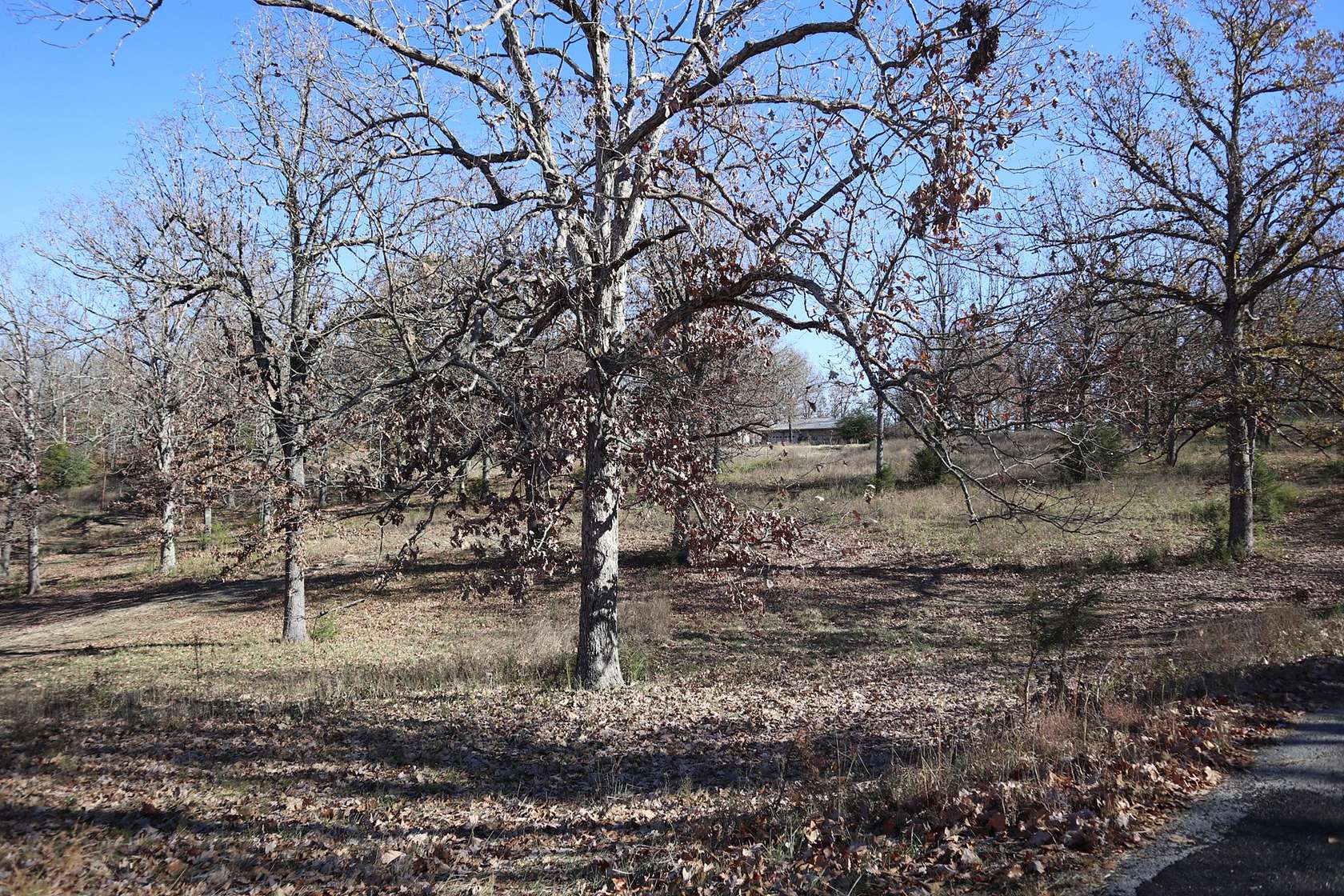 5 Acres of Agricultural Land for Sale in Salem, Arkansas