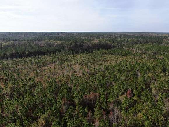 99.6 Acres of Recreational Land for Sale in Alapaha, Georgia