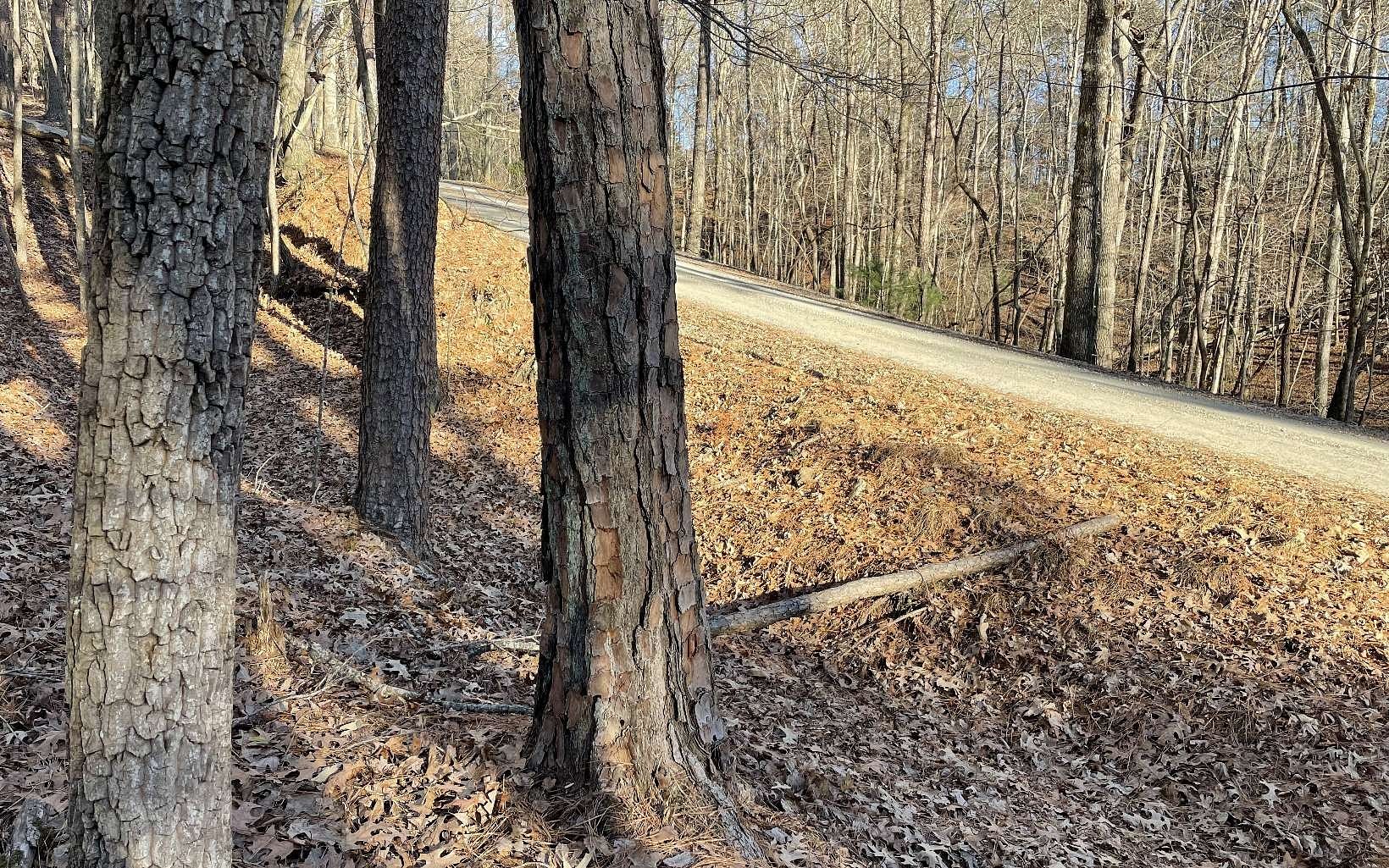 0.65 Acres of Residential Land for Sale in Ellijay, Georgia