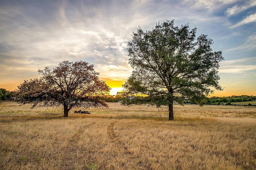 11.2 Acres of Agricultural Land for Sale in Burleson, Texas