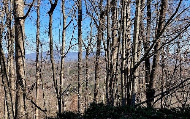 3.6 Acres of Land for Sale in Blue Ridge, Georgia