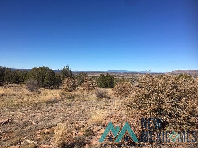 40 Acres of Land for Sale in Las Vegas, New Mexico