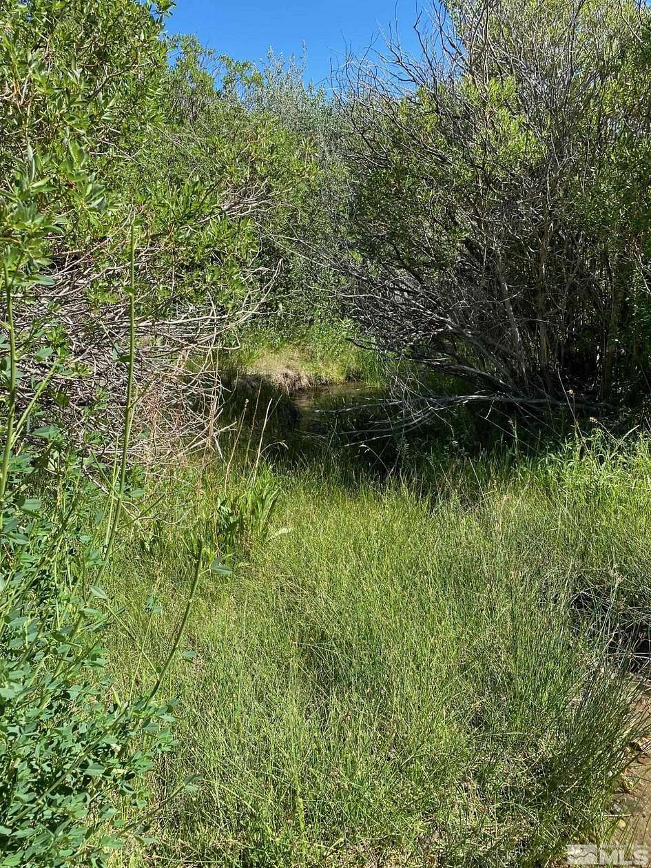 296 Acres of Recreational Land for Sale in Smith, Nevada