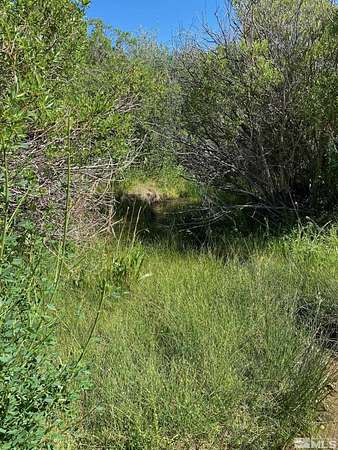 296 Acres of Recreational Land for Sale in Smith, Nevada