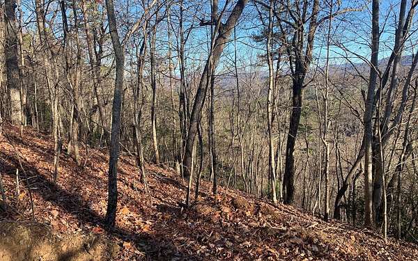 1.46 Acres of Residential Land for Sale in Brasstown, North Carolina