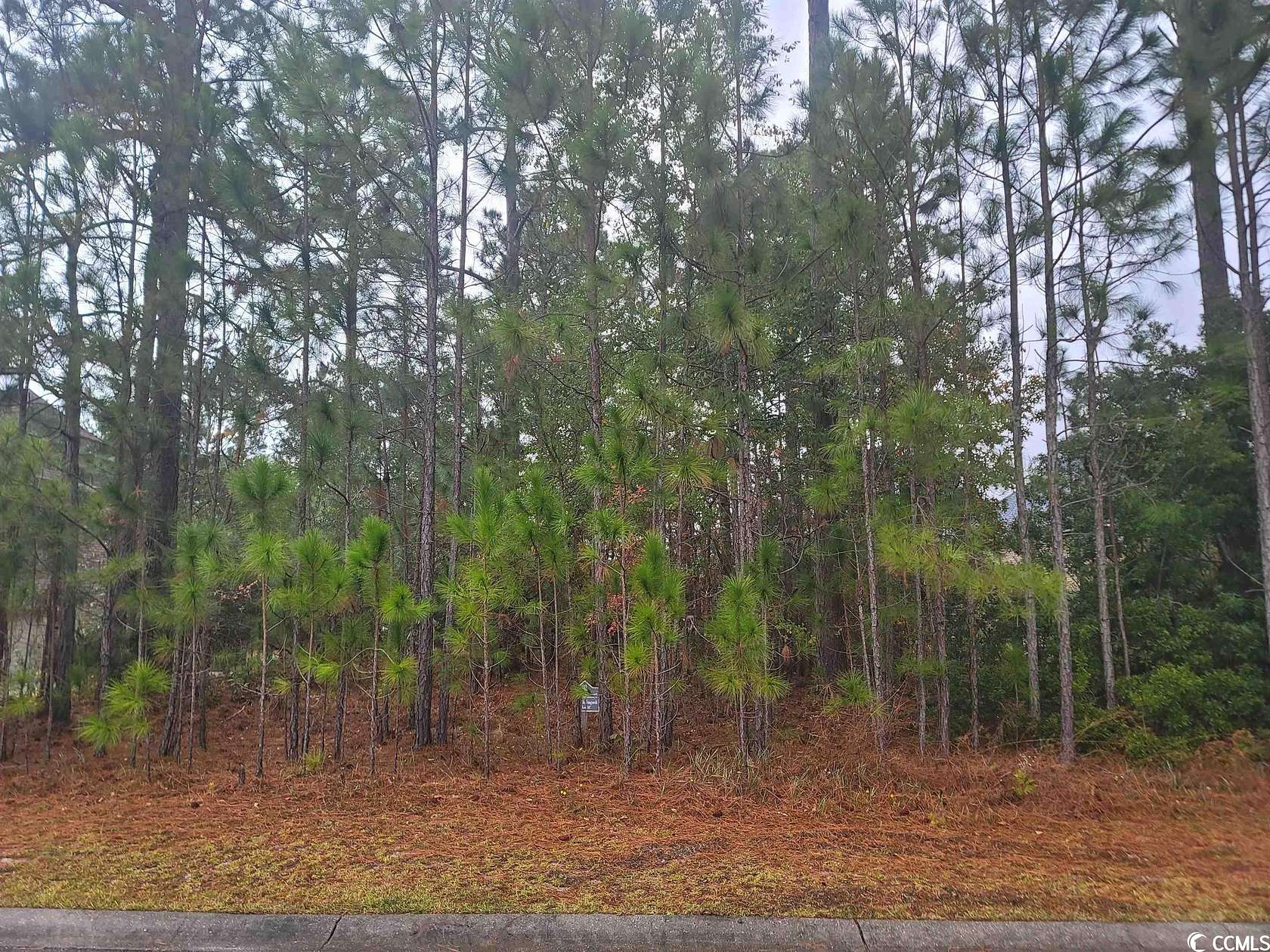 0.3 Acres of Residential Land for Sale in Myrtle Beach, South Carolina