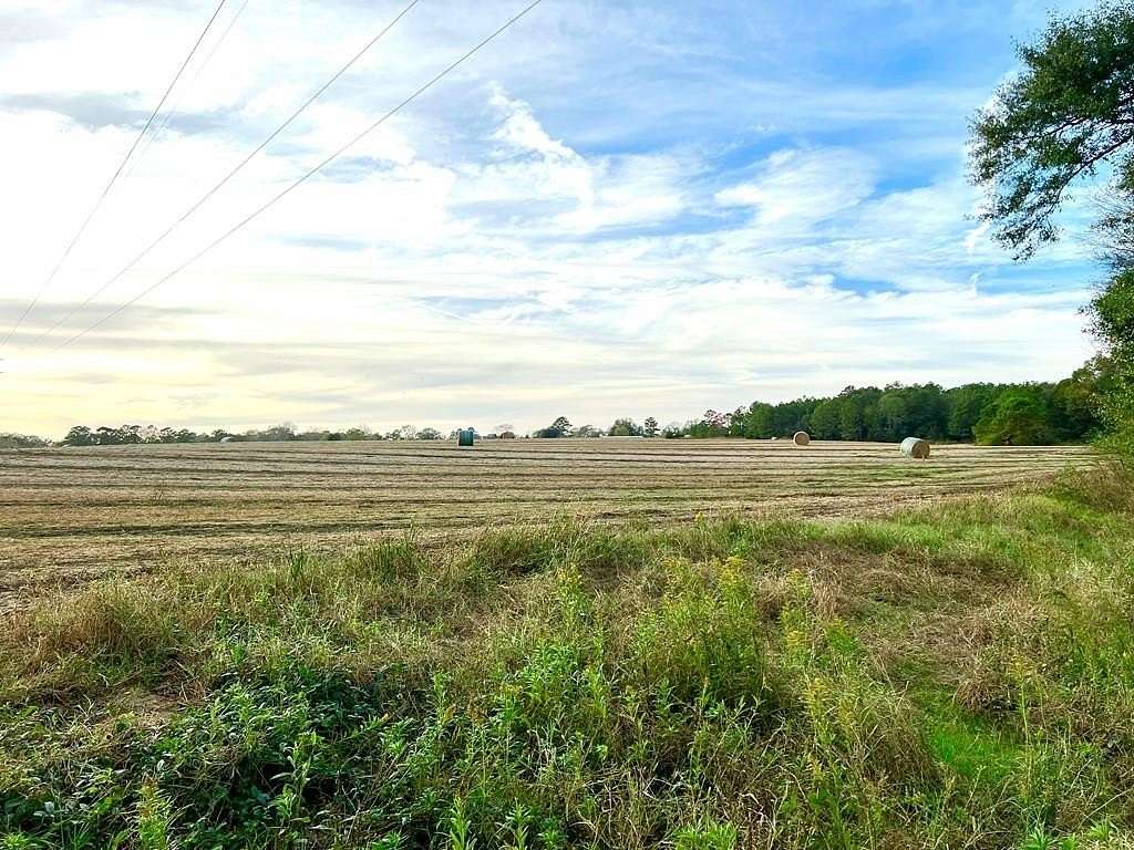 84 Acres of Land for Sale in Headland, Alabama