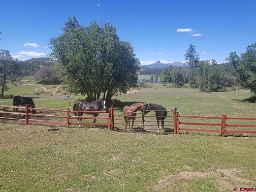 36.6 Acres of Agricultural Land with Home for Sale in Pagosa Springs, Colorado