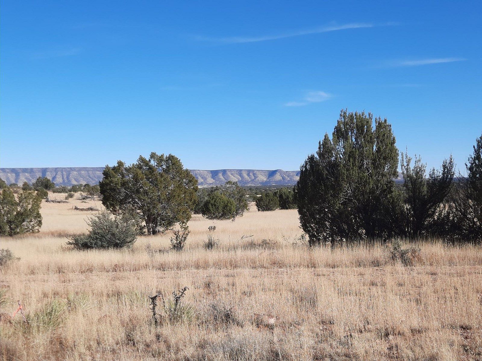 1.5 Acres of Land for Sale in Seligman, Arizona