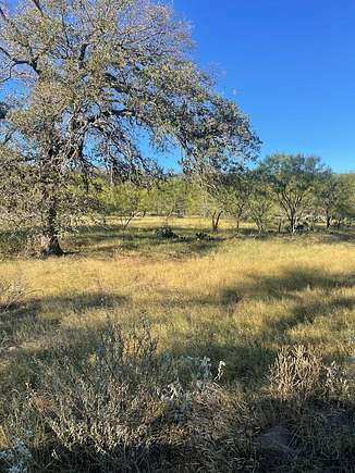 25 Acres of Recreational Land & Farm for Sale in Mason, Texas
