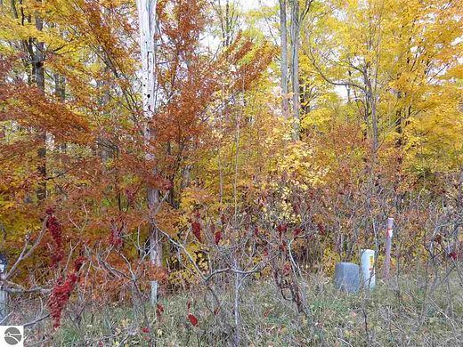 0.33 Acres of Residential Land for Sale in Kingsley, Michigan