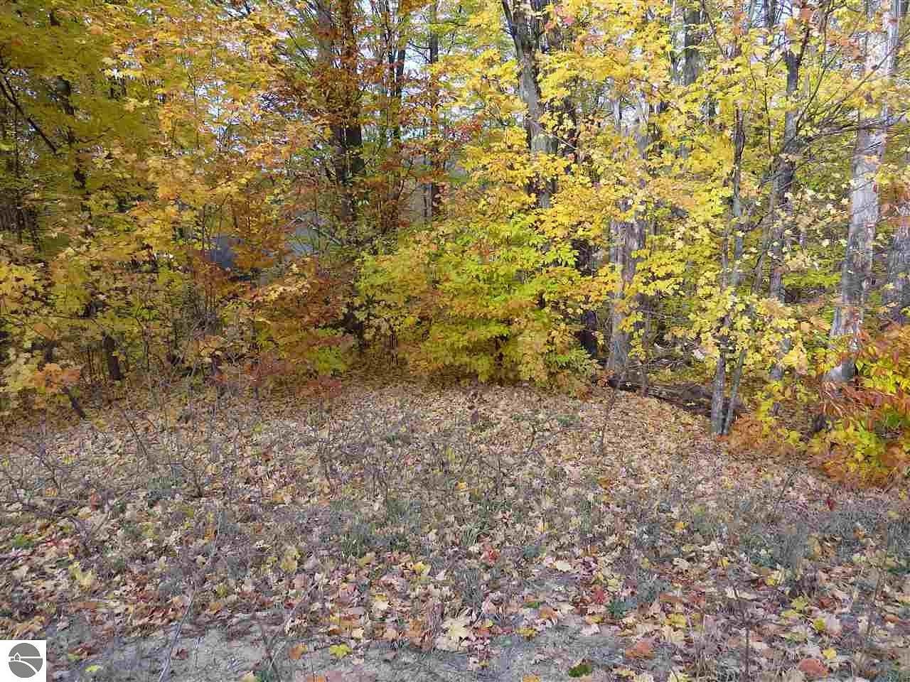 0.33 Acres of Residential Land for Sale in Kingsley, Michigan