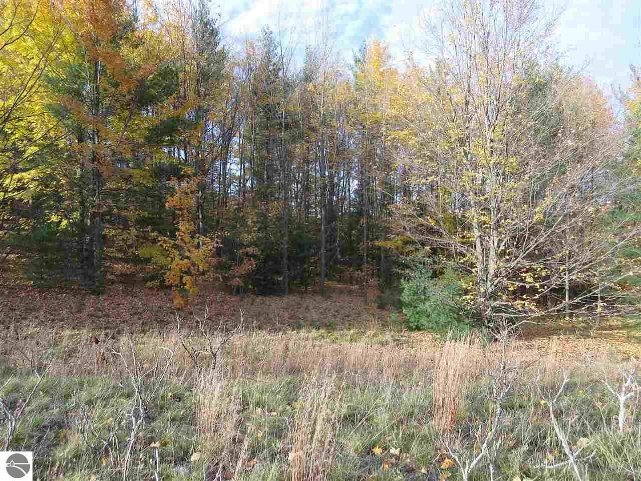 0.42 Acres of Residential Land for Sale in Kingsley, Michigan
