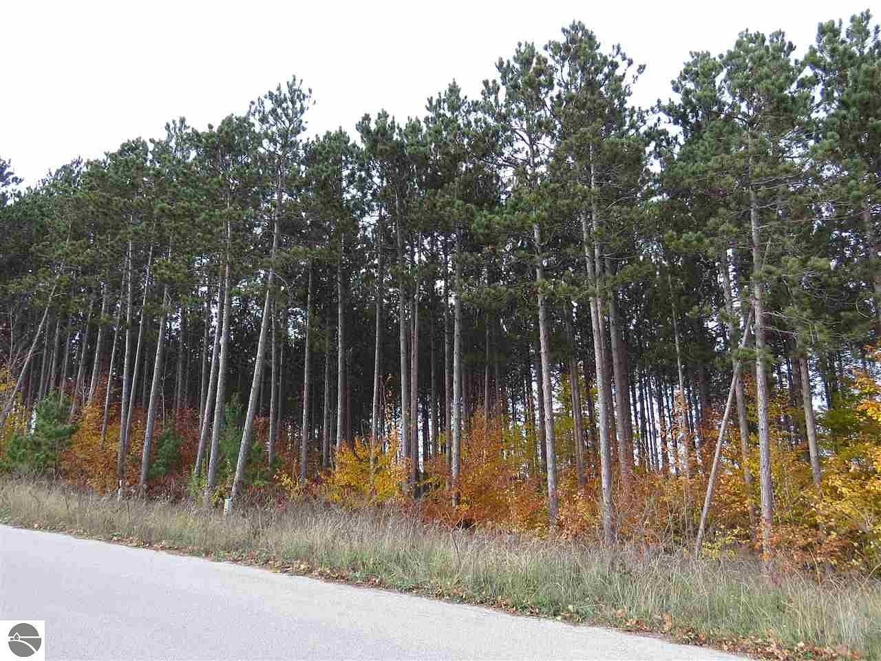 0.39 Acres of Residential Land for Sale in Kingsley, Michigan