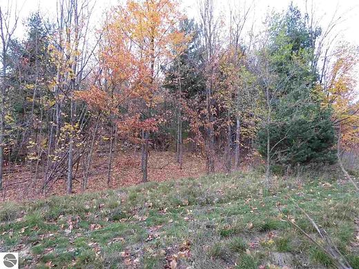 0.46 Acres of Residential Land for Sale in Kingsley, Michigan