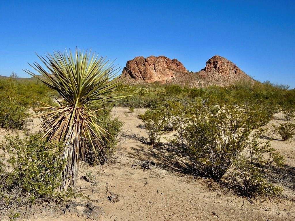 5 Acres of Land for Sale in Terlingua, Texas