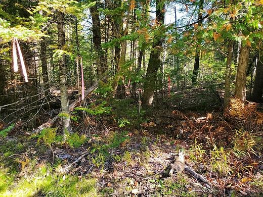 44.5 Acres of Recreational Land for Sale in Stetson, Maine