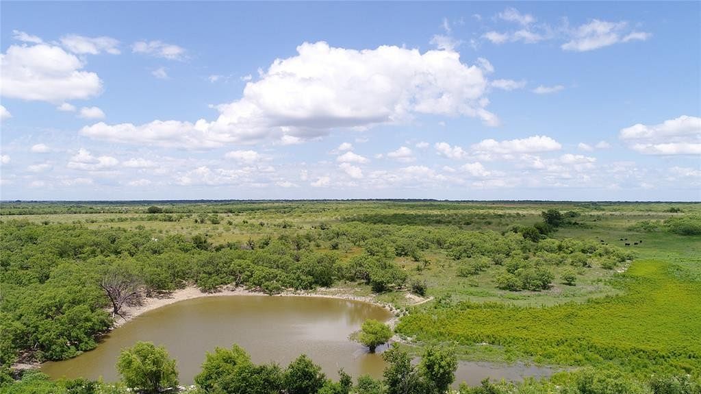 225 Acres of Land for Sale in Bangs, Texas