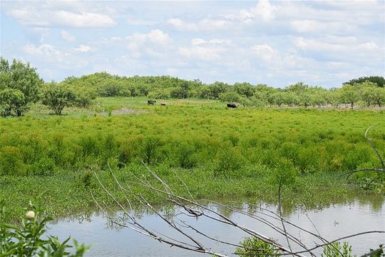 115 Acres of Recreational Land & Farm for Sale in Bangs, Texas