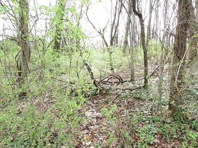 0.63 Acres of Residential Land for Sale in Johnson City, Tennessee
