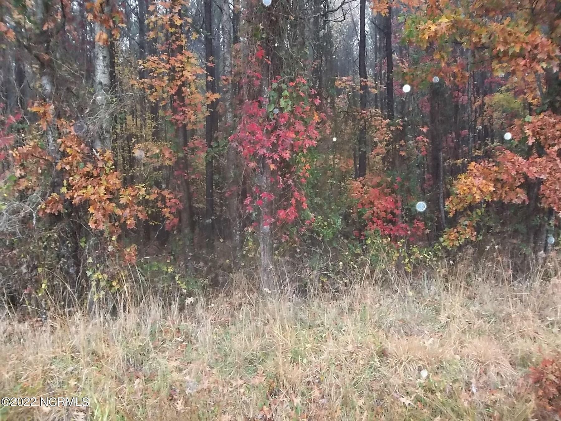 1 Acre of Residential Land for Sale in Hertford, North Carolina